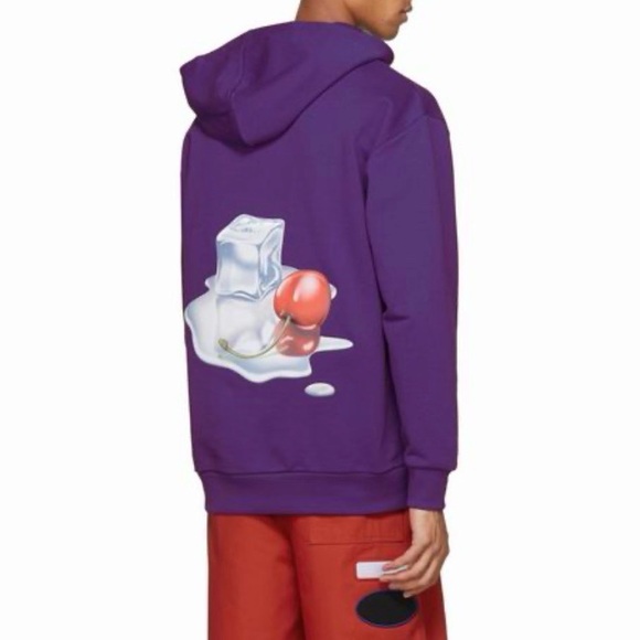 Acne Studios Other - Acne Studios Diner Fog Hoody